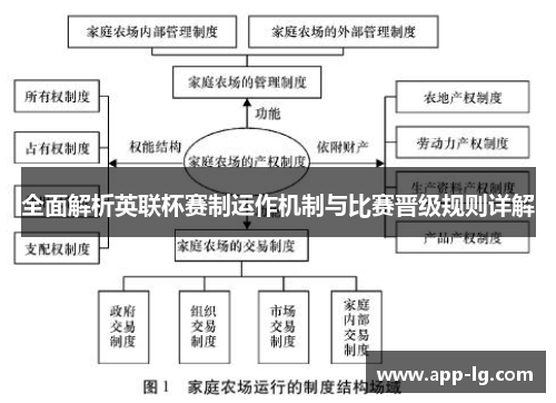 全面解析英联杯赛制运作机制与比赛晋级规则详解